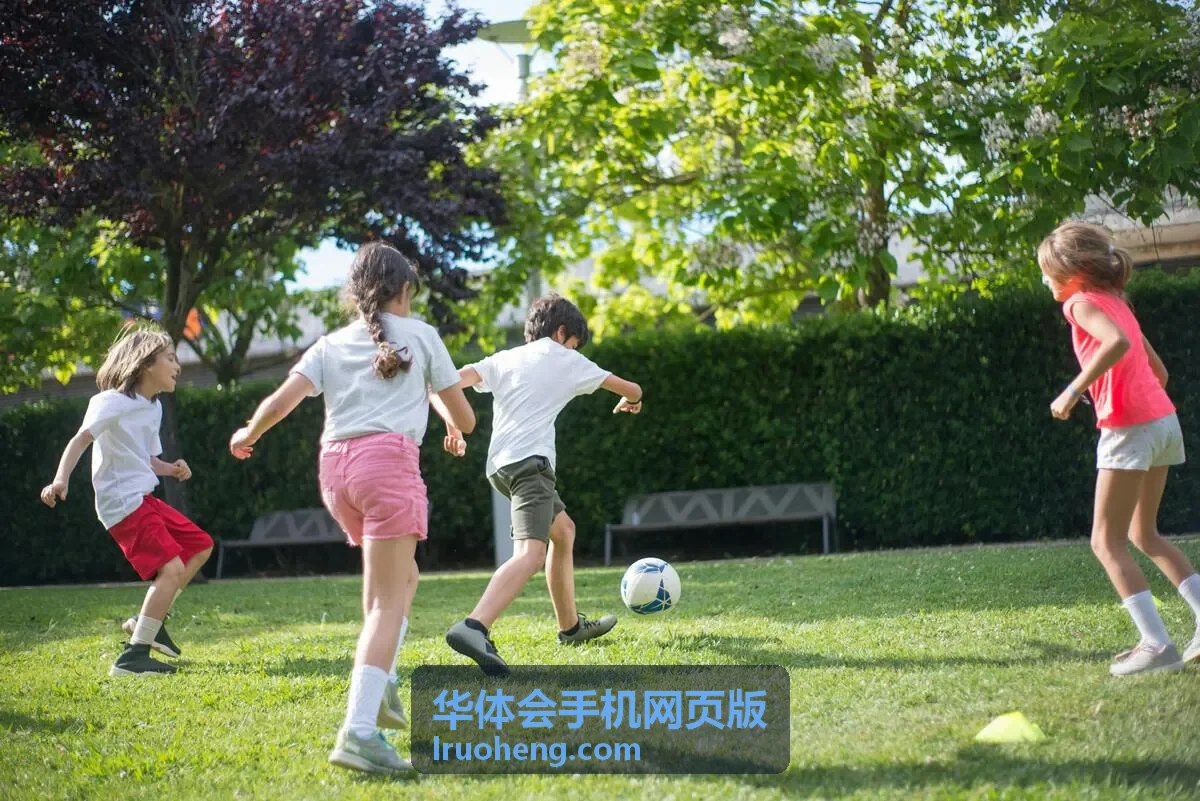 华体会手机网页版账号登录页面